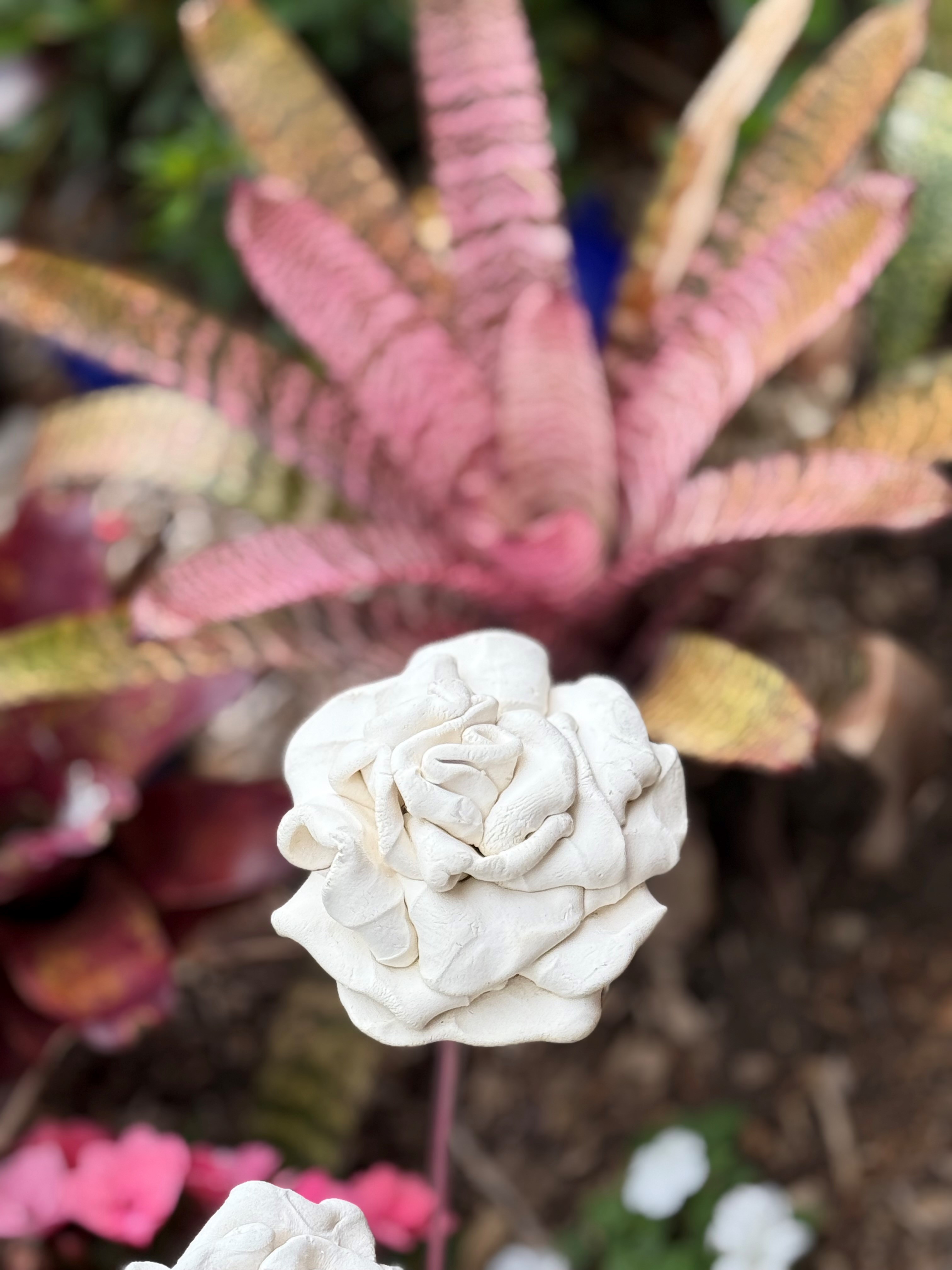 images/RS WHITE ROSES2.jpg